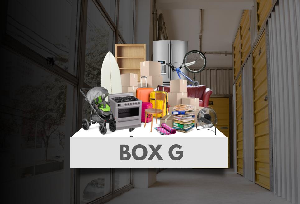 Box G SmartStorage