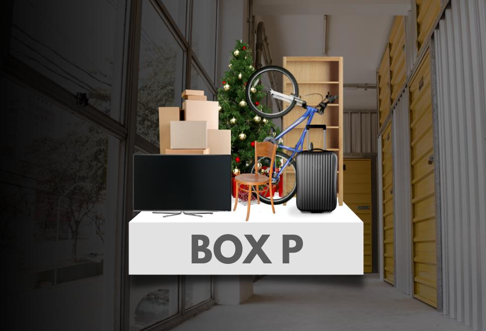Box P SmartStorage